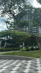 Bedok Town Centre (D16), Shop House #506913311